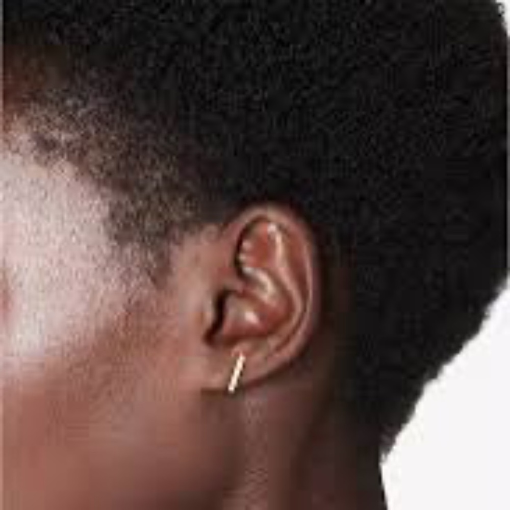 Anine Bing Bar Earring